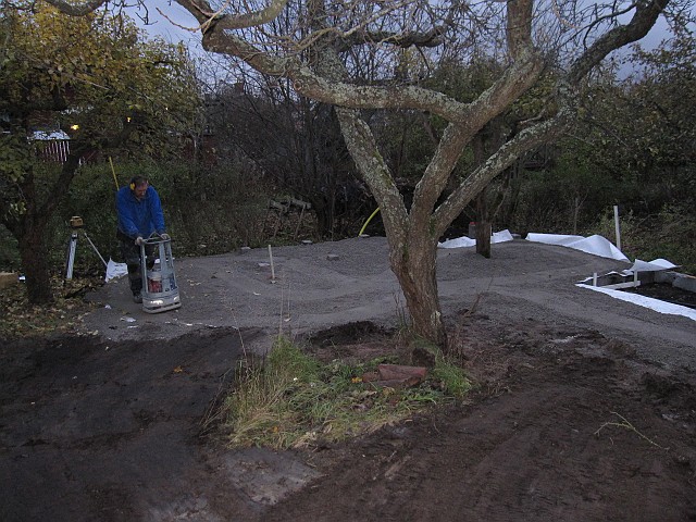 2010-12-04 113